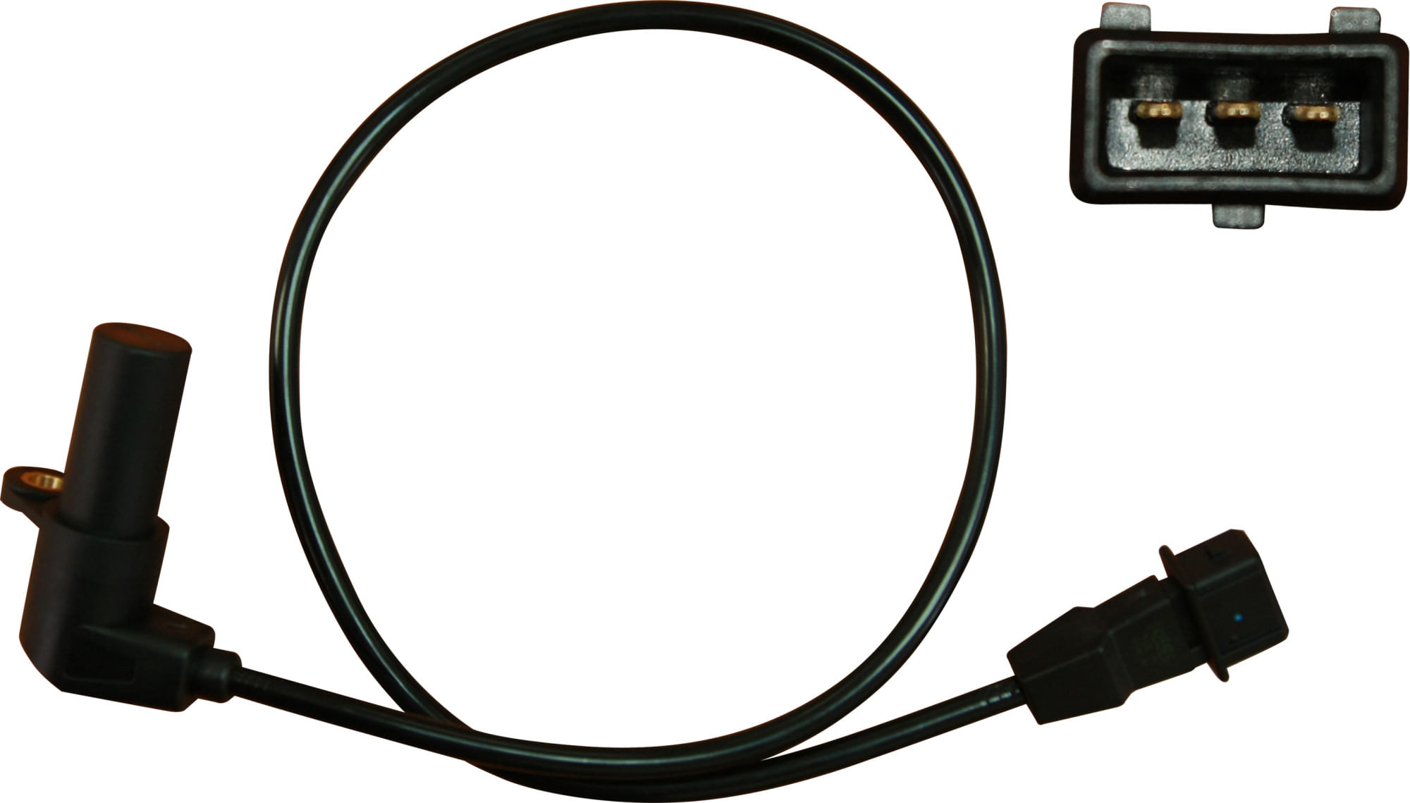 Sensor Cigüeñal Ckp