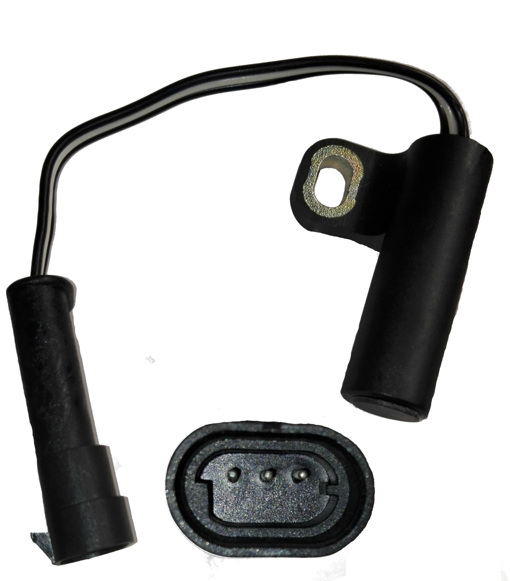 Sensor Cigüeñal Ckp