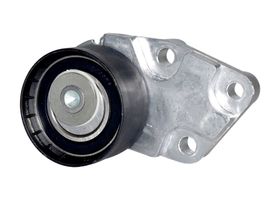 Polea Tensora De Distribución