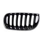 tong-yang-parrilla-izquierda-crom-bmw-x3-2004-2006-x3-0