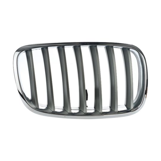 tong-yang-parrilla-derecha-crom-gris-bmw-x5-2007-2010-x5-0