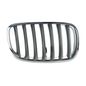 tong-yang-parrilla-derecha-crom-gris-bmw-x5-2007-2010-x5-0