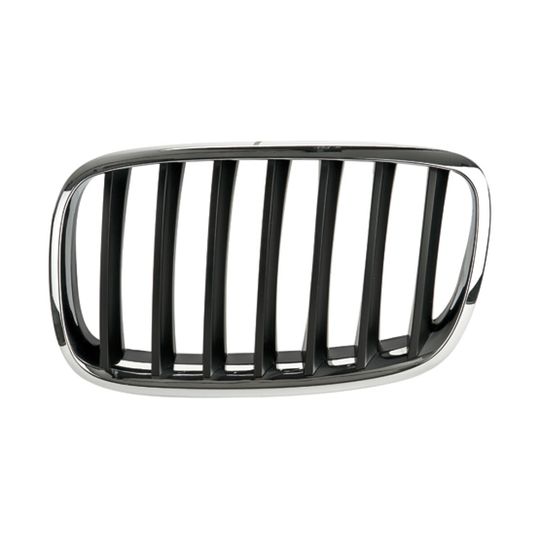 tong-yang-parrilla-izquierda-crom-negra-bmw-x5-2007-2010-x5-0