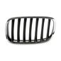 tong-yang-parrilla-izquierda-crom-negra-bmw-x5-2007-2010-x5-0