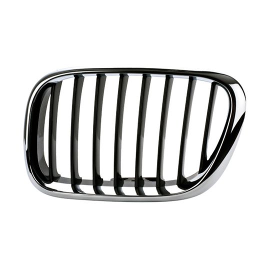 tong-yang-parrilla-izquierda-crom-humo-bmw-x5-2000-2004-x5-0