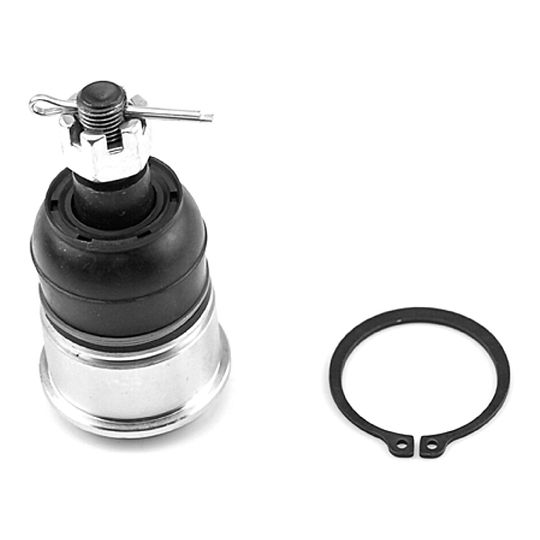 generica-rotula-para-horquilla-delantera-inferior-lado-conductor-o-pasajero-acura-tsx-2004-2008-tsx-0 generica-rotula-para-horquilla-delantera-inferior-lado-conductor-o-pasajero-acura-tsx-2004-2008-tsx-0